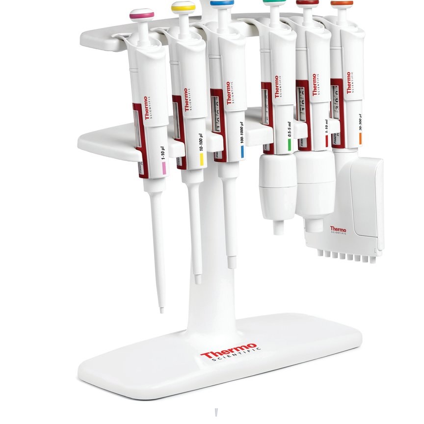 Soporte para micropipetas