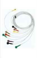 Cable de paciente 10 Lead para grabadora Holter BTL-08 (H300, H600)