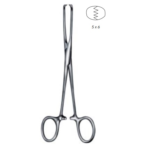 [DEM-64.120.24] Pinza allis intestino de 24cm con dientes 5x6