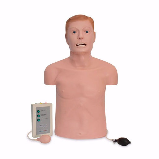 [ZEG-TOR-CPR-INT] Torso de RCP e Intubacion