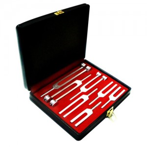 [HER-1-100] Estuche con set de 7 diapasones